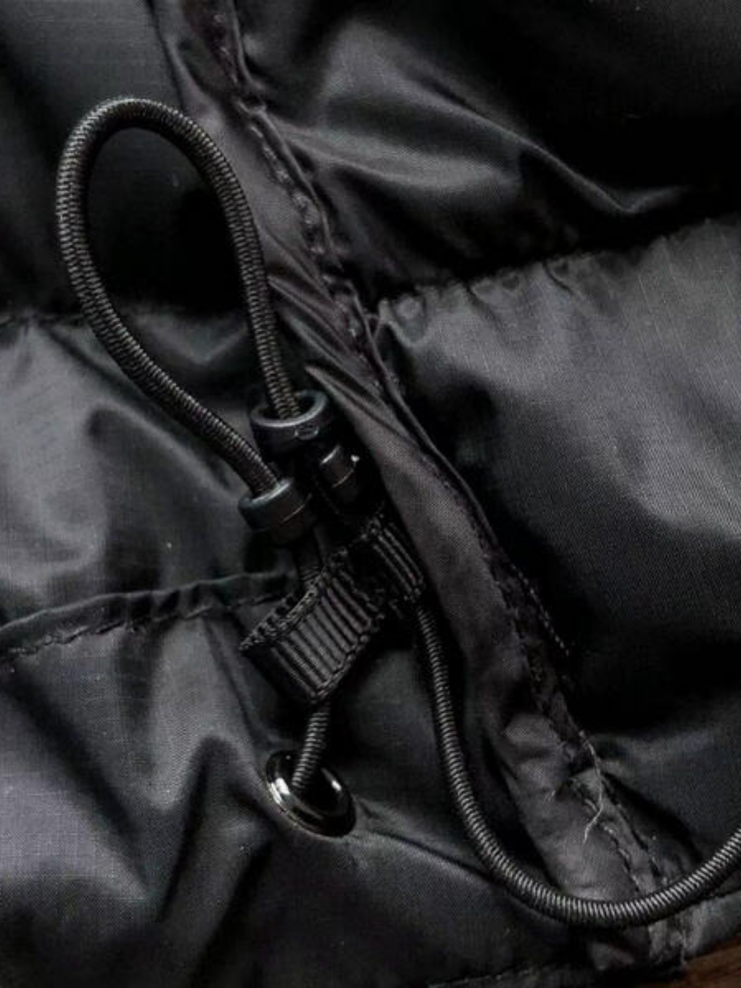 Chaqueta Cerium Vest Arcterx Unisex