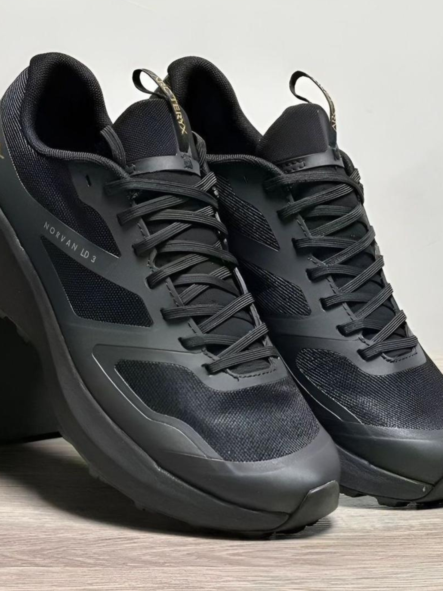 Zapatilla Arcterx Norvan LD 3 color Negro Unisex