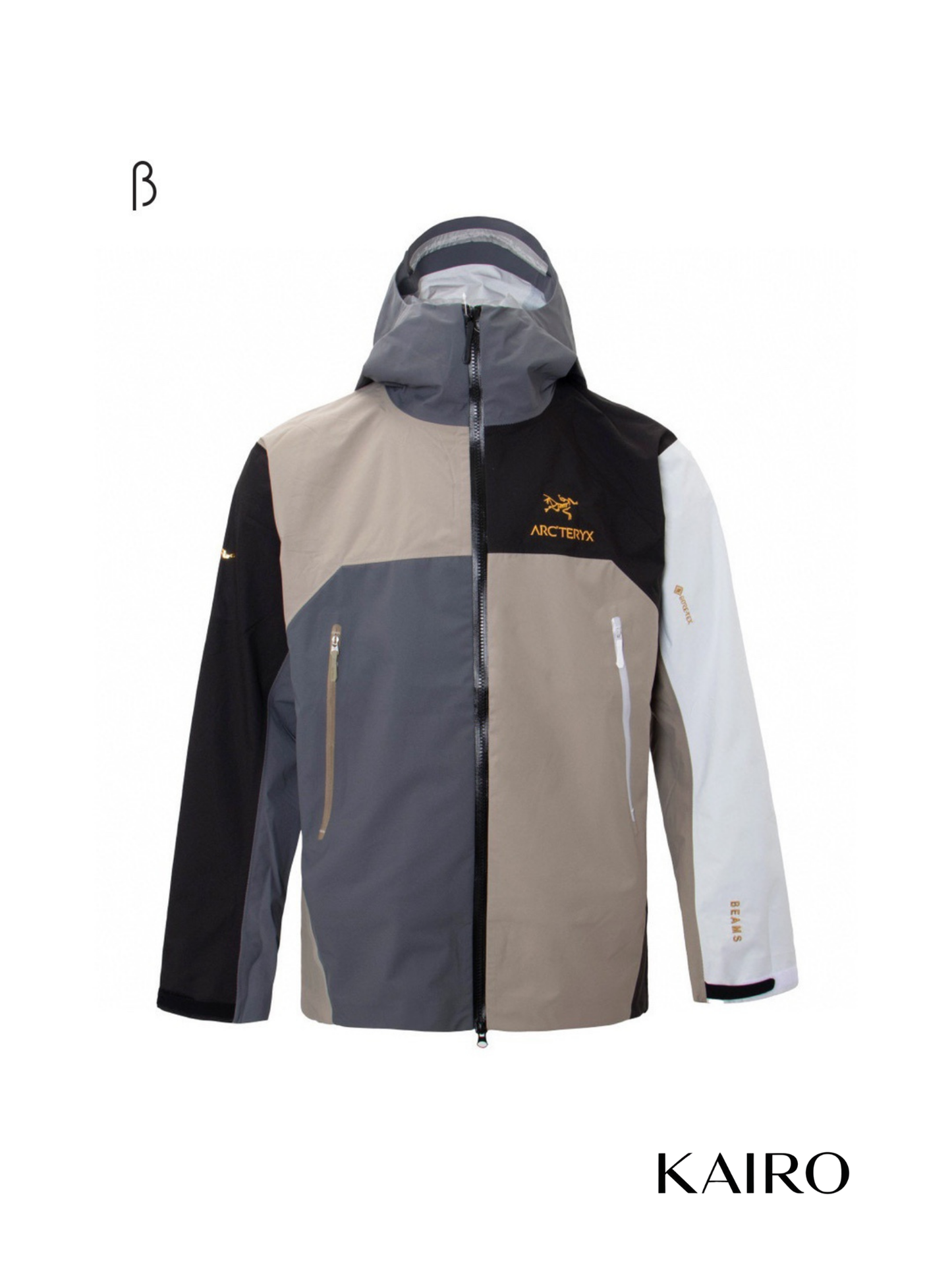 Casaca Impermeable B LW Arcterx Unisex